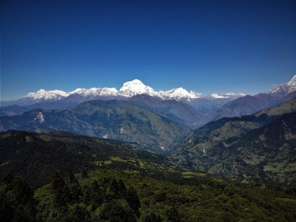 ghorepani poon hill trek