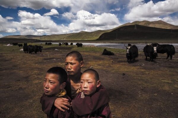 Image of monk in Tibet